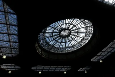 DSC_7278 (Large).JPG